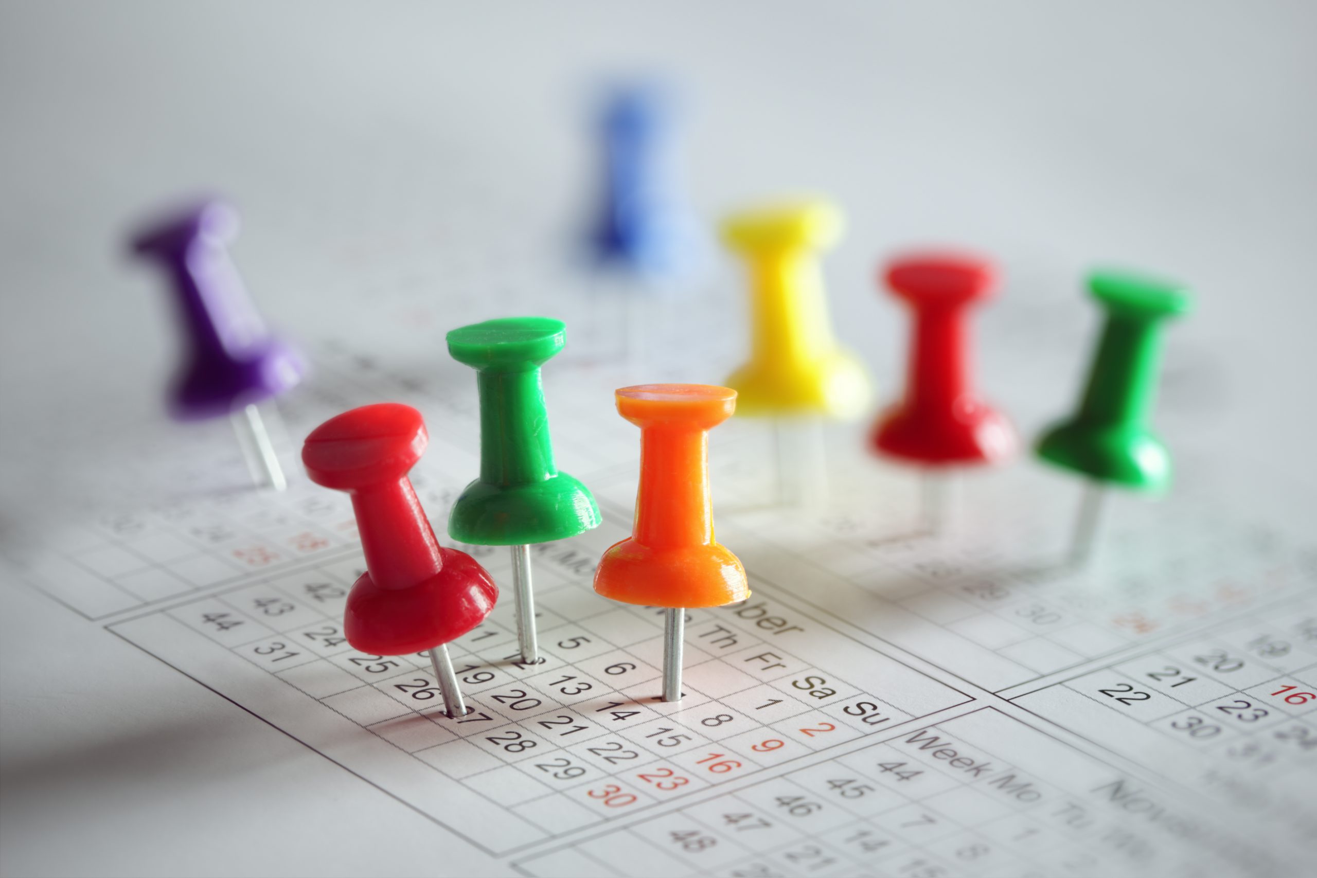 Calendario